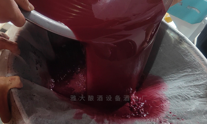 桑葚“次果”變黃金！低成本釀熱銷果酒，增收秘訣看這里！ 7